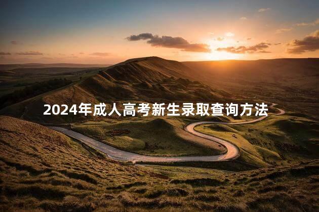 2024年成人高考新生录取查询方法