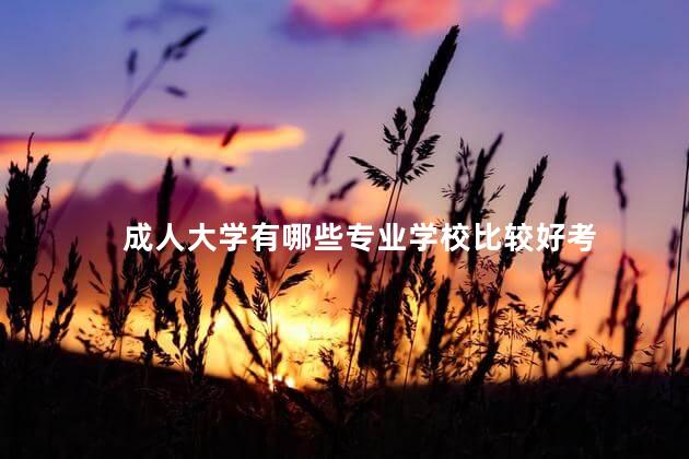 成人大学有哪些专业学校比较好考