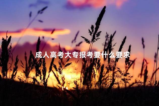 成人高考大专报考要什么要求