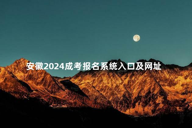 安徽2024成考报名系统入口及网址