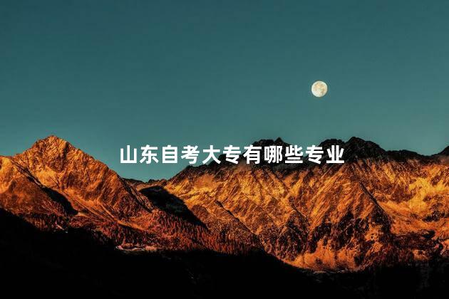 山东自考大专有哪些专业