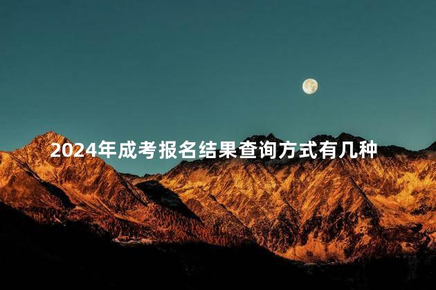 2024年成考报名结果查询方式有几种