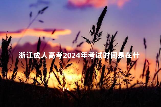 浙江成人高考2024年考试时间是在什么时候