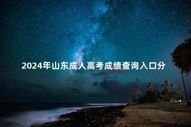 2024年山东成人高考成绩查询入口分享