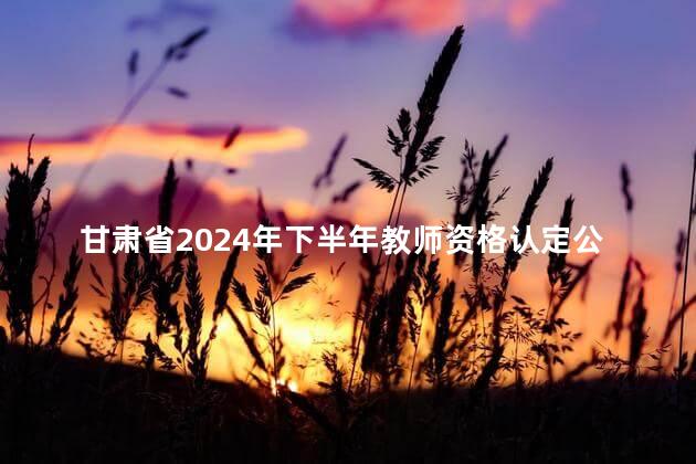 甘肃省2024年下半年教师资格认定公告