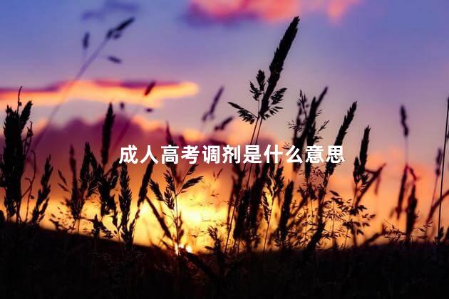 成人高考调剂是什么意思