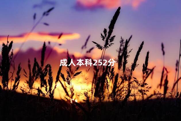 成人本科252分