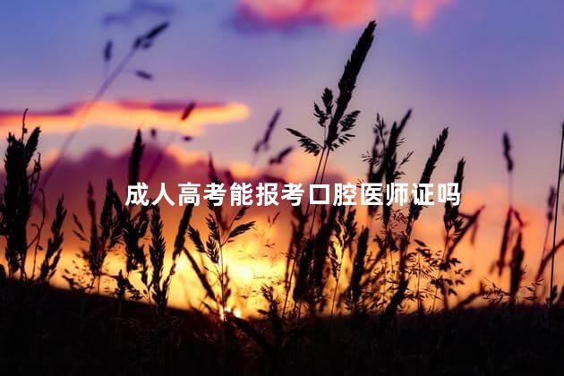 成人高考能报考口腔医师证吗