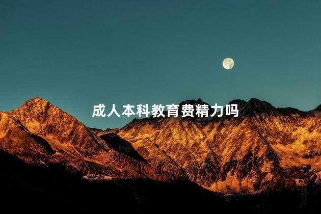 成人本科教育费精力吗